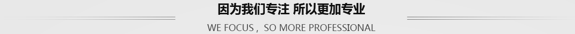 因为我们专注 所以更加专业